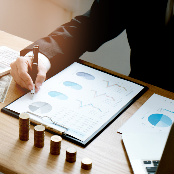 Professional auditor inspecting documents